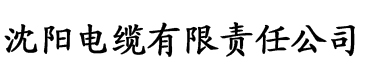 免费理论片视频电缆厂logo